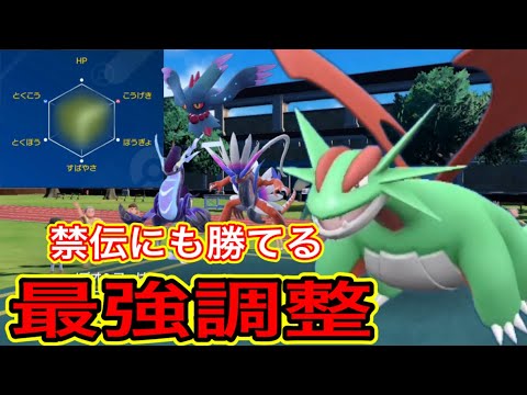 ボーマンダが強すぎて禁伝、パラドックスポケモンを破壊しまくりました！【ポケモンSV】