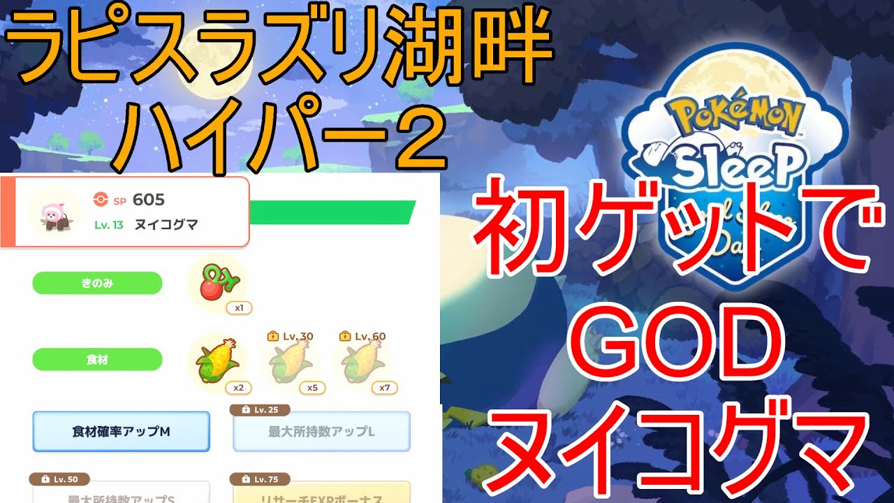 【ポケモンスリープ】ラピスラズリ湖畔4日目 初めてゲットしたヌイコグマが良個体でした