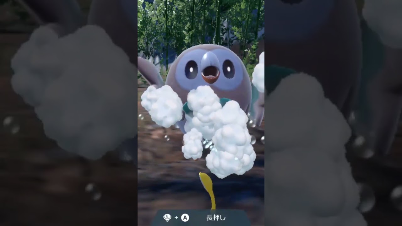 モクロー Rowlet【ポケモンsv】