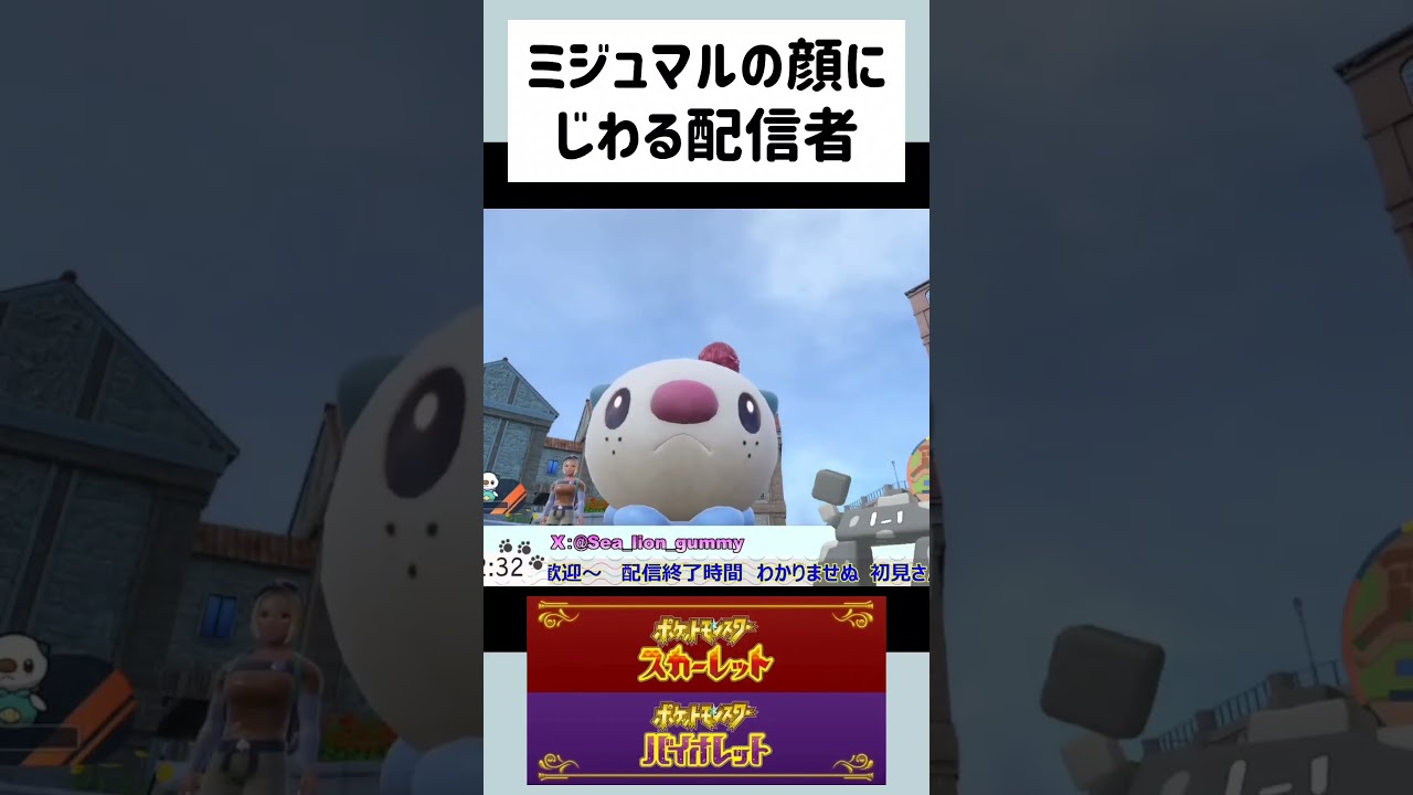【ポケモンSV】ミジュマルの顔がなんか面白い #shorts #ポケモンsv #生配信 #pokemon #色違い #色証厳選 #ポケットモンスター
