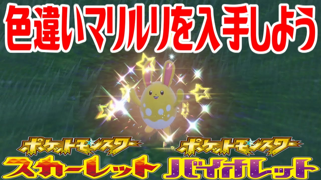 【ポケモンSV】色違いマリルリを入手しよう【ポケットモンスター スカーレット・バイオレット】Pocket Monsters