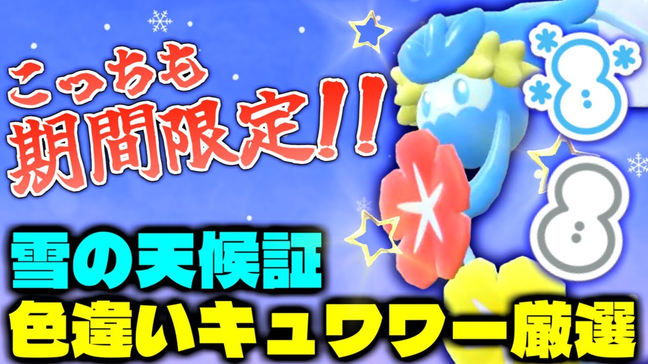 【限定個体】コレクレーだけのイベントじゃない!!今しか雪山に出現しない｢キュワワー｣に雪の天候証を狙って厳選!!色違い率＆証率アップの大量発生出現中!!【ポケモンSV】【色違いポケモン】【色違い厳選】