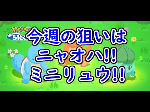 【ポケモンスリープ/Pokemon Sleep】すくすくウィークvol.2 開催!! 良個体のミニリュウとニャオハを求めて!! #147【ポケスリ】