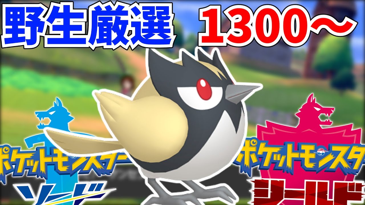 【色違い旅】最初の道路から沼りに沼りまくってるココガラ厳選！1300匹から！【色旅】#ポケモン剣盾 #ポケモンsv  #shorts
