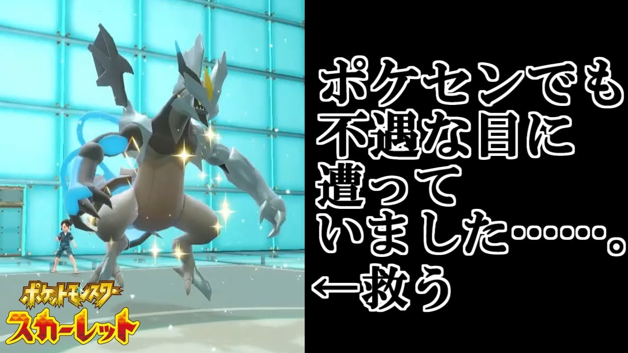 ポケセンでも虐げられていたブラックキュレムを救いたい。【ポケットモンスタースカーレット・バイオレット・SV】