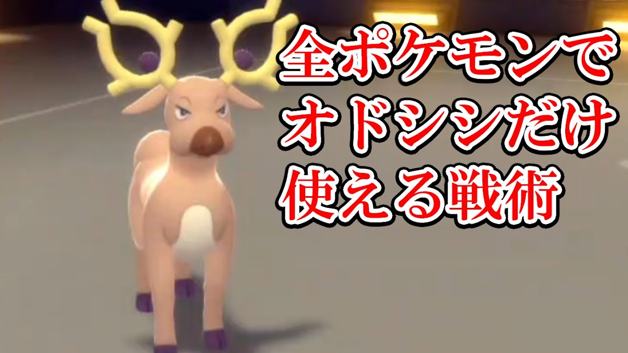 進化しなくてもオドシシは強いんですよ【ダイパリメイク】