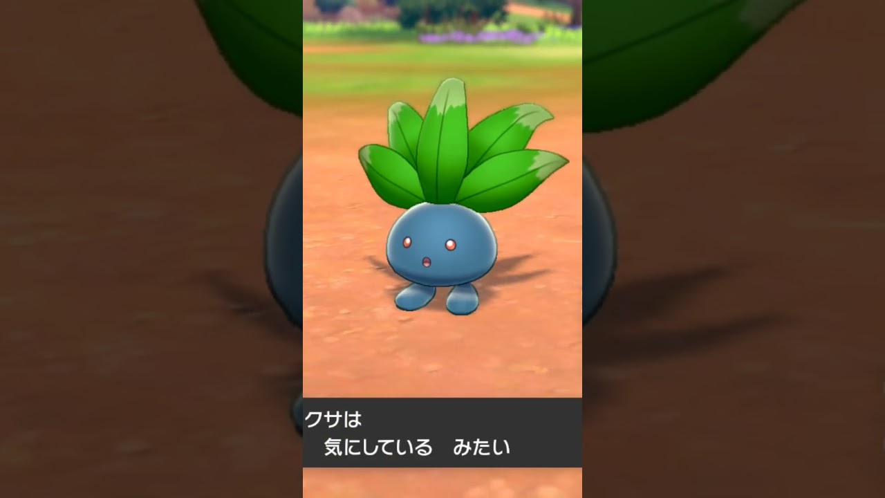 ナゾノクサ Oddish【ポケモン剣盾】