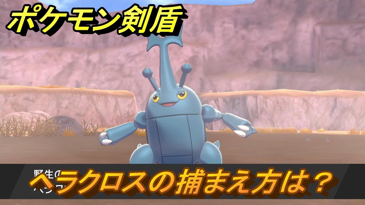 ポケモン剣盾　ヘラクロスを捕まえる方法！オススメの場所は？天気は？ポケモン図鑑コンプへの道！　最新版【ポケモンソード・シールド】