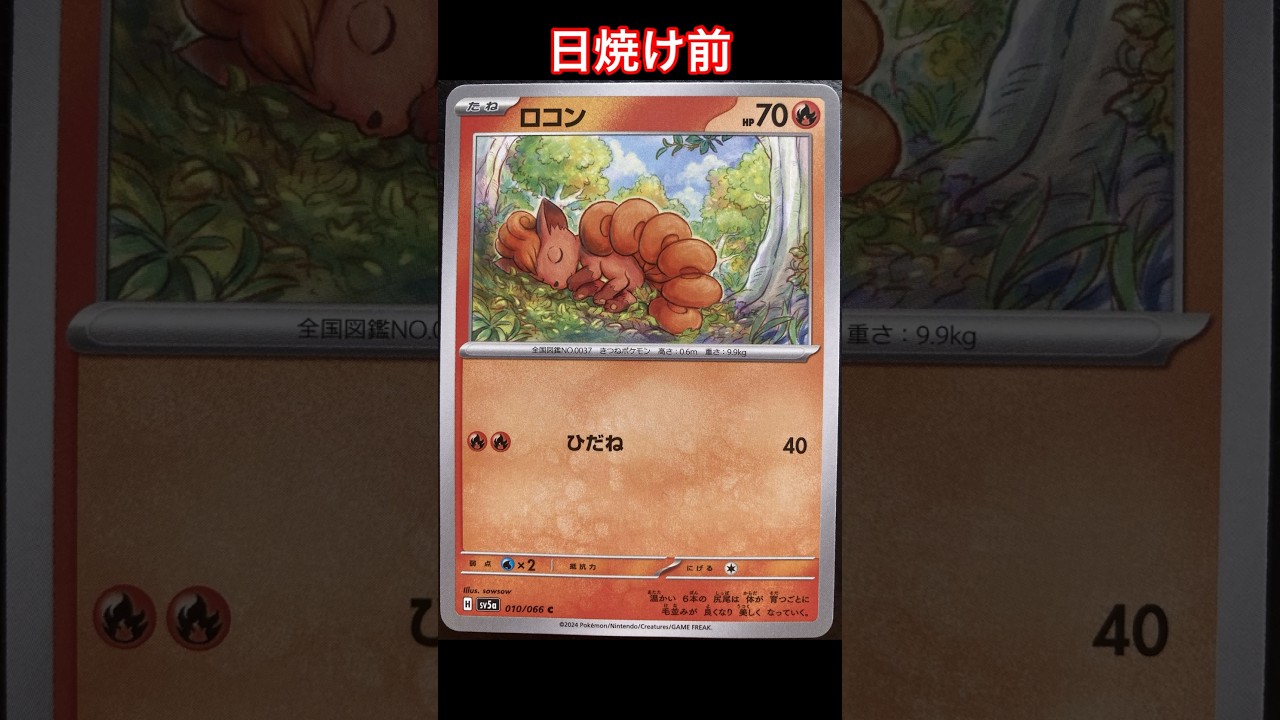 ロコンの日焼けポケカ