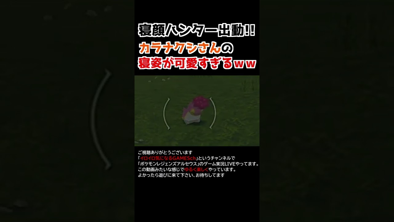 カラナクシさんの「寝姿」が可愛すぎるww【Pokémon LEGENDS アルセウス】【寝顔ハンター】