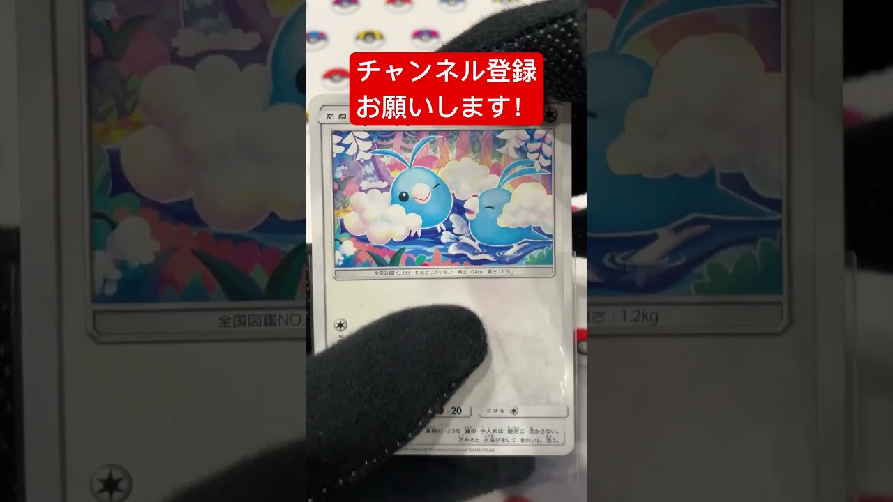 チルットの目が進化！#shorts