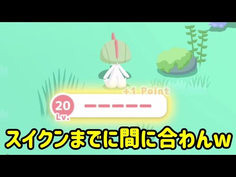 【ポケスリ】ヒーラー厳選一生終わる気しないんですけどｗ【ポケモンスリープ】【POKEMON】