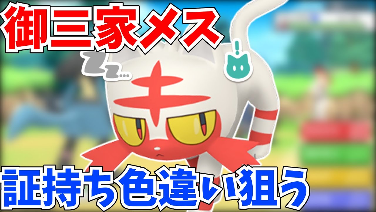 【初見さん大歓迎】メスの色違いニャビーを探しに行こう！！【ポケモンSV】