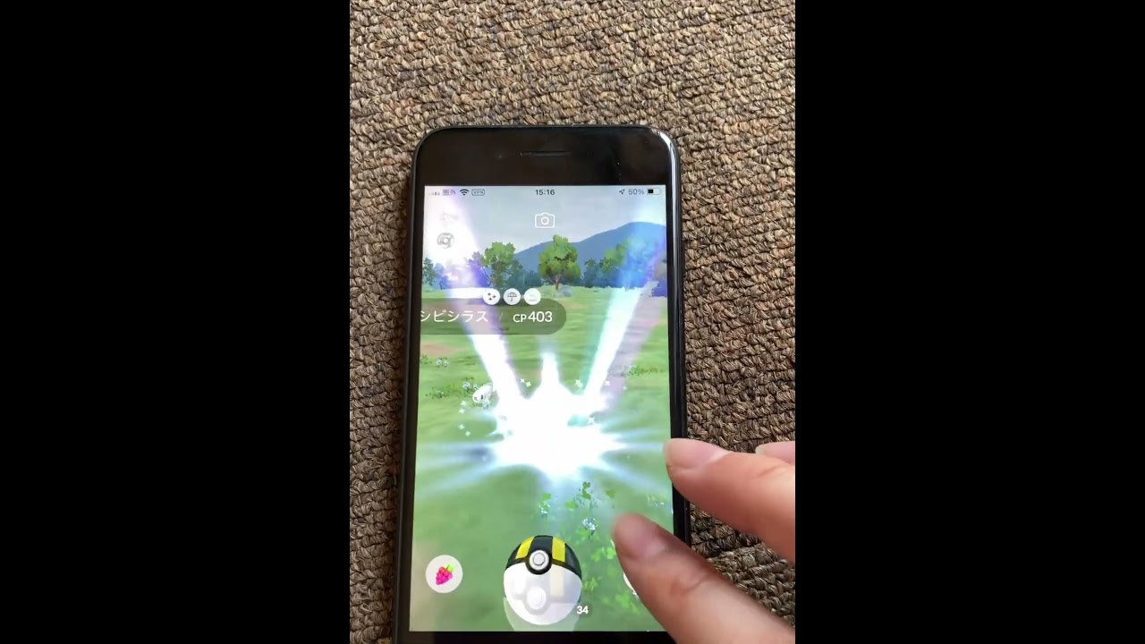 さて、2024年7月21日のPokémon GO シビシラス コミュニティデイで、出てきてくれた1体目の色違いシビシラス♀ 個体値は？ #shorts