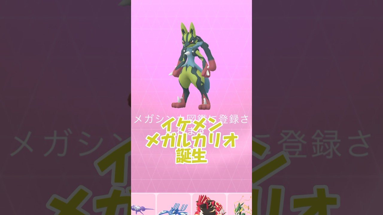 かくとう最強🔥色違いメガルカリオ‼️✨️✨️ #ポケモンgo #ルカリオ #メガルカリオ