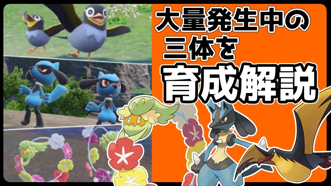 【ポケモンSV】育成解説タイカイデン・ルカリオ・キュワワー　#ポケモン　#ポケットモンスター