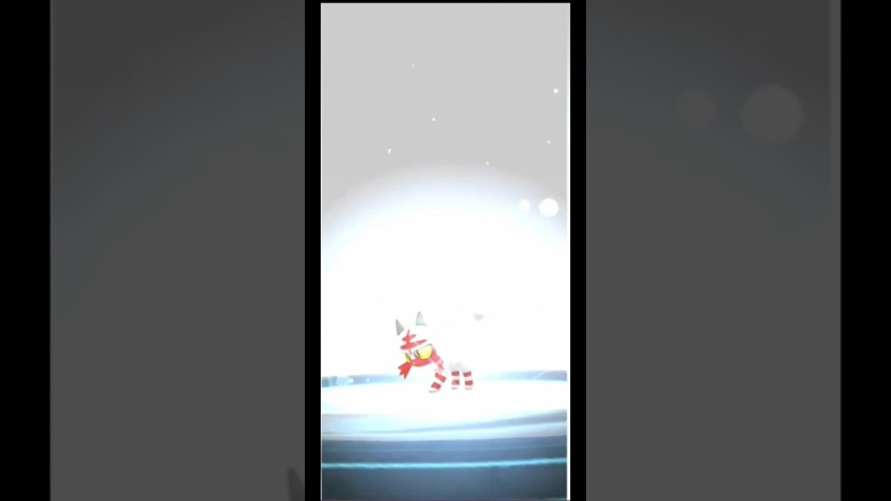 色違いニャビーをニャヒートまで進化させてみた