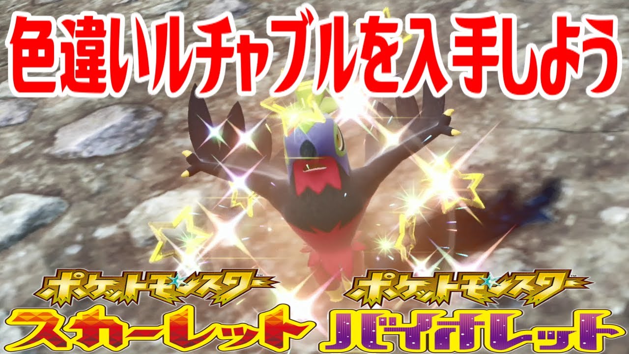 【ポケモンSV】色違いルチャブルを入手しよう【ポケットモンスター スカーレット・バイオレット】Pocket Monsters