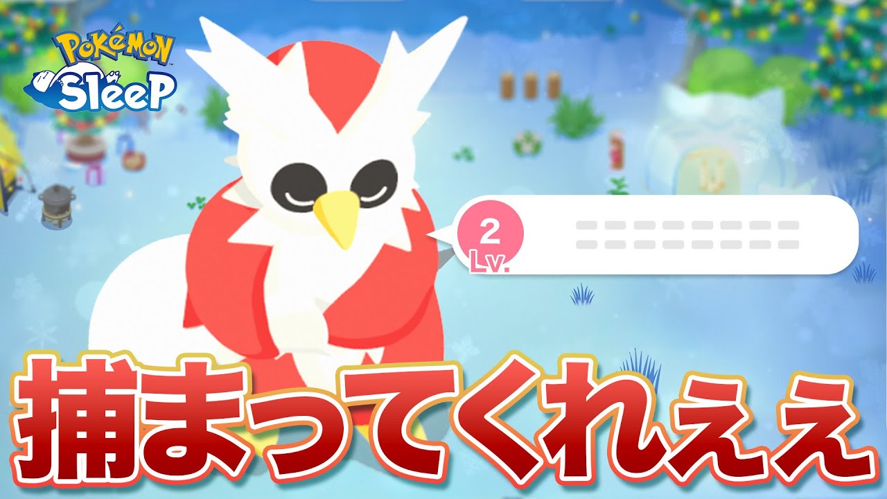 【ポケモンスリープ】チャンスなしボーナスサブレなしだけどデリバード、ゲットできないかなぁ…