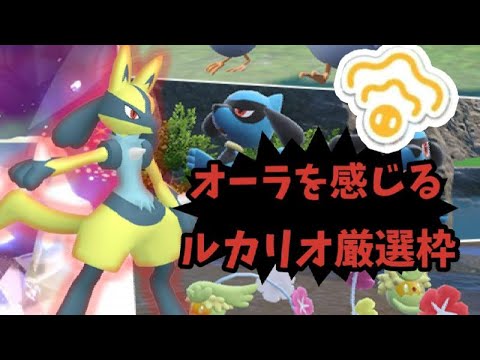 【ポケモンSV】イベント来たし最高のルカリオを捕まえる枠