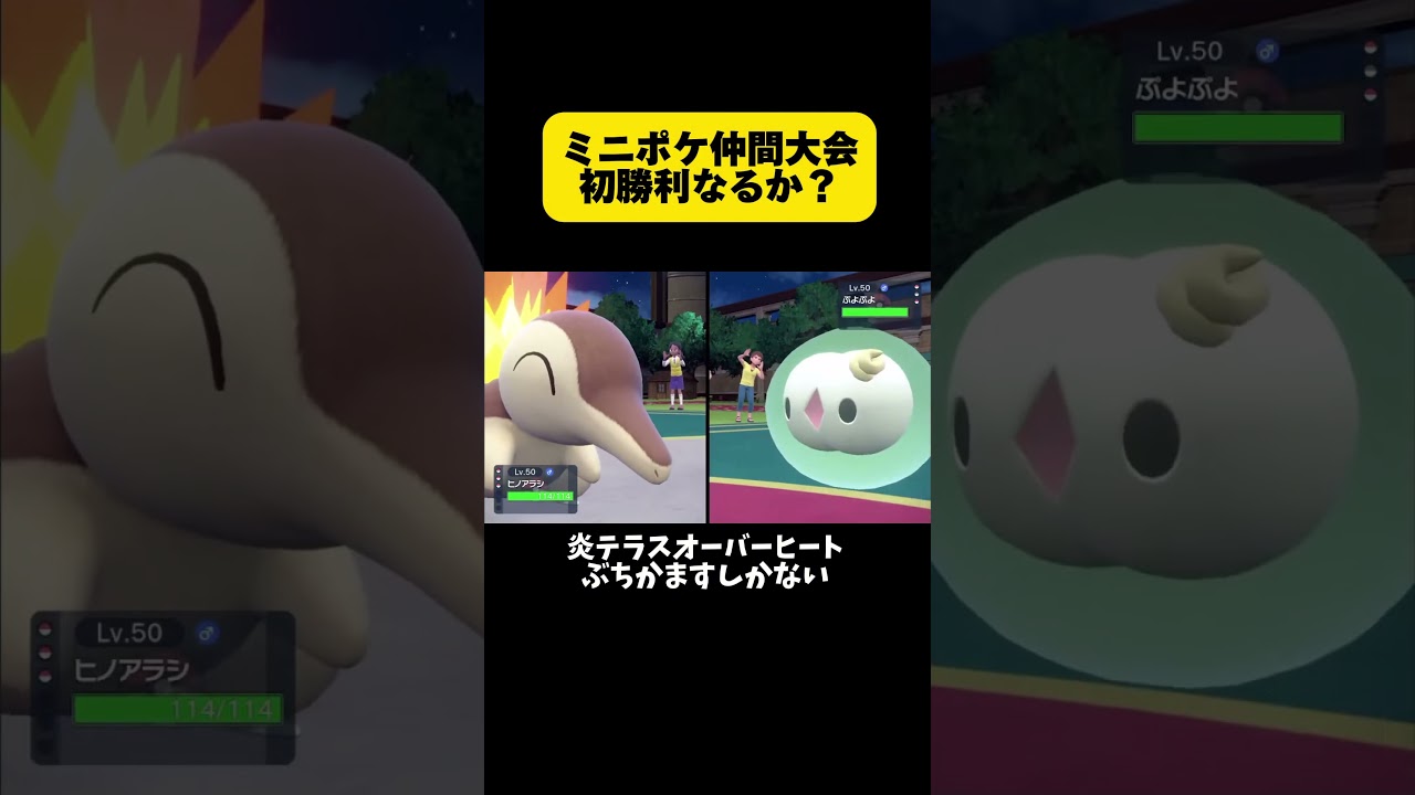 ゾロア検定 #ポケモンsv