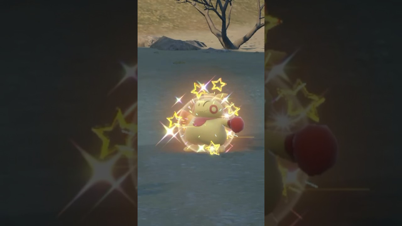 Shiny Makuhita! (224/366 shiny everyday) #pokemon #shiny #pokemonscarletandviolet #shinymakuhita