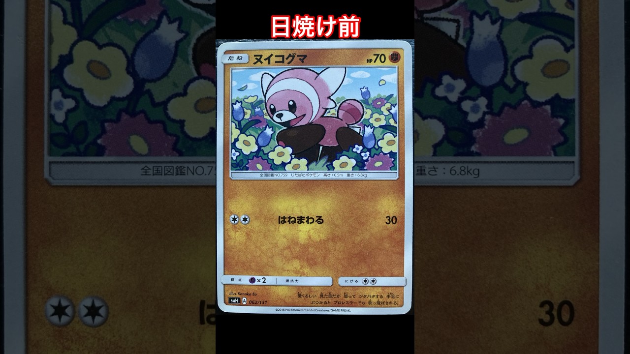 ヌイコグマの日焼けポケカ