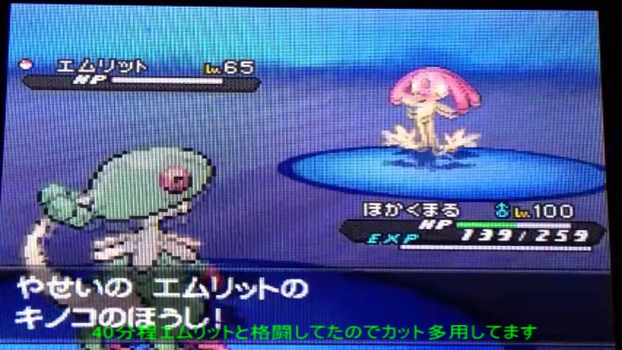 【BW2】色違いのエムリット出現