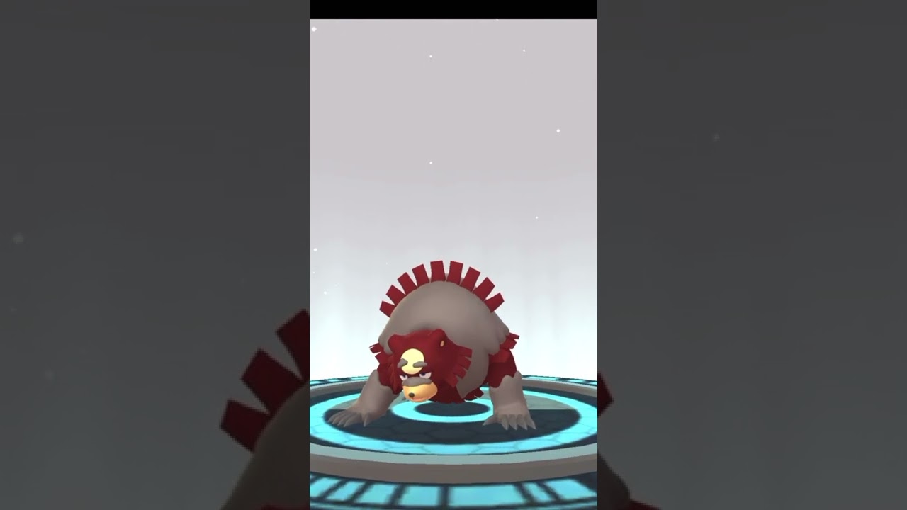 ポケモンgo pokemon ヒメグマ→リングマ→ガチグマ　進化　色違い　満月　#shorts