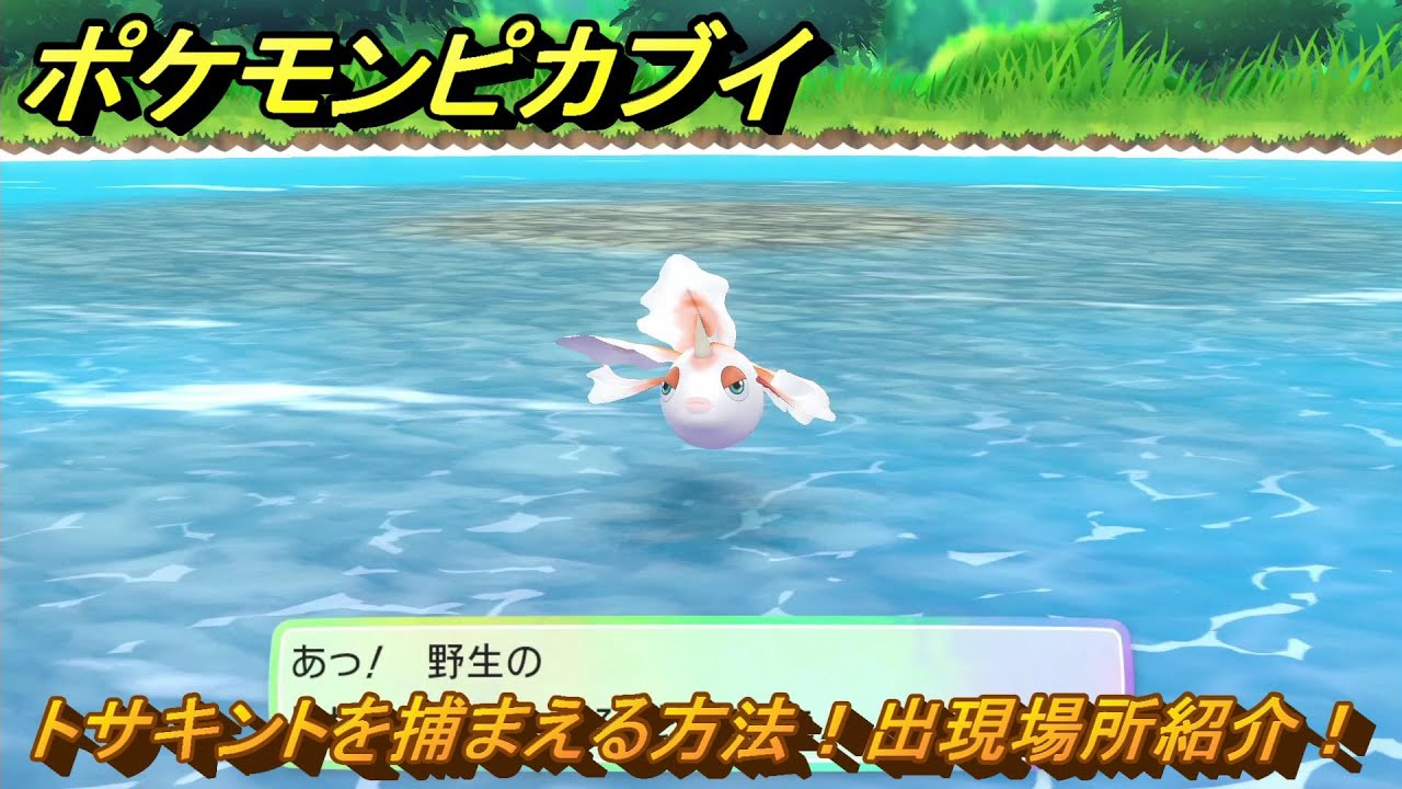 ポケモンピカブイ　トサキントを捕まえる方法！出現場所紹介！図鑑コンプへの道！　【ポケットモンスター Let's Go! ピカチュウ・イーブイ】