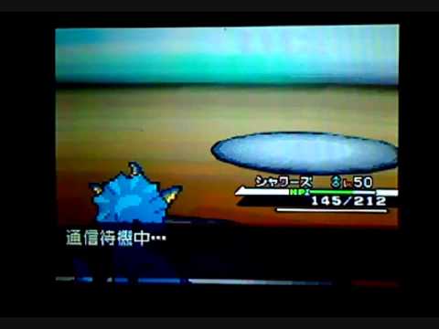 【チラチーノは】ポケモンバトルBW part32【芸人？】