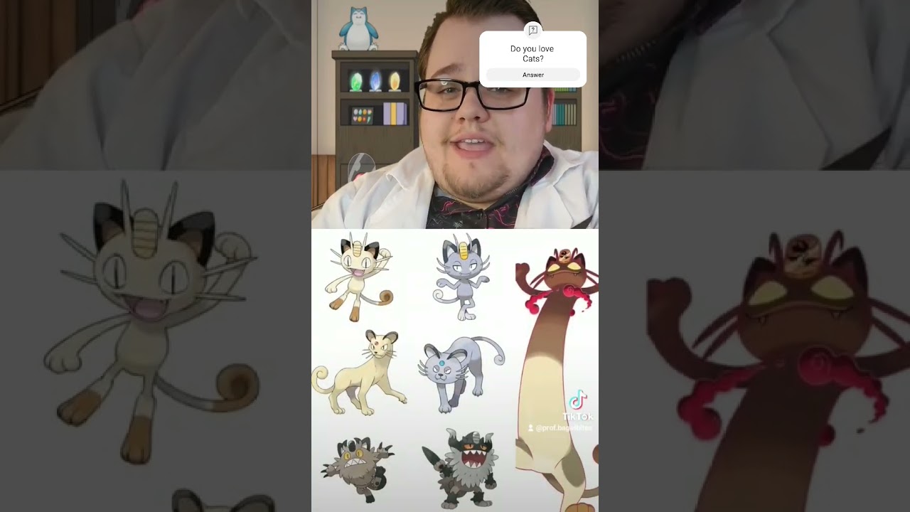 Pokemon Cats Are Everywhere! Featuring my Cat #meow #cat #pokemon
