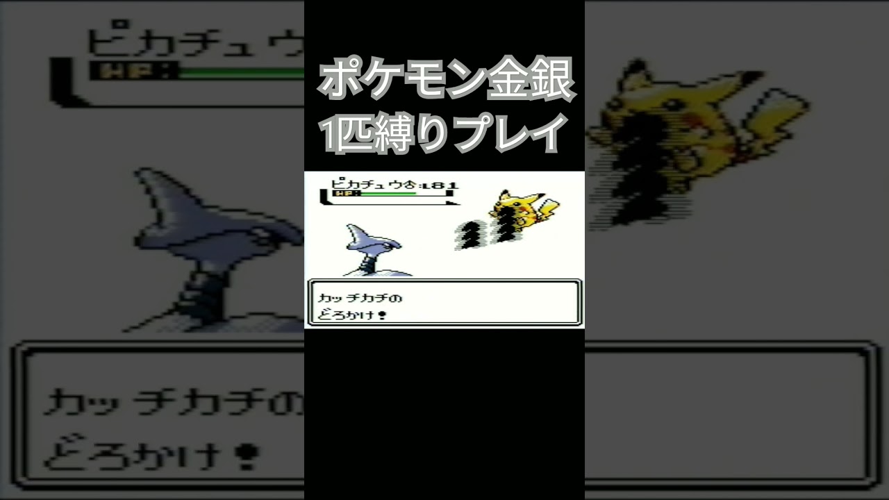 【ポケモン金銀】ポケモン1匹縛りプレイ!!エアームドver【縛りプレイ】#ポケモン金銀 #縛りプレイ #エアームド #ゲーム実況