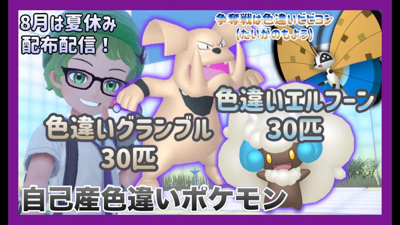 【ポケモンSV】自己産！色違グランブル＆色違いエルフーン計60匹配布！争奪戦は色違いビビヨン(たいが)！【色違いポケモン配布】