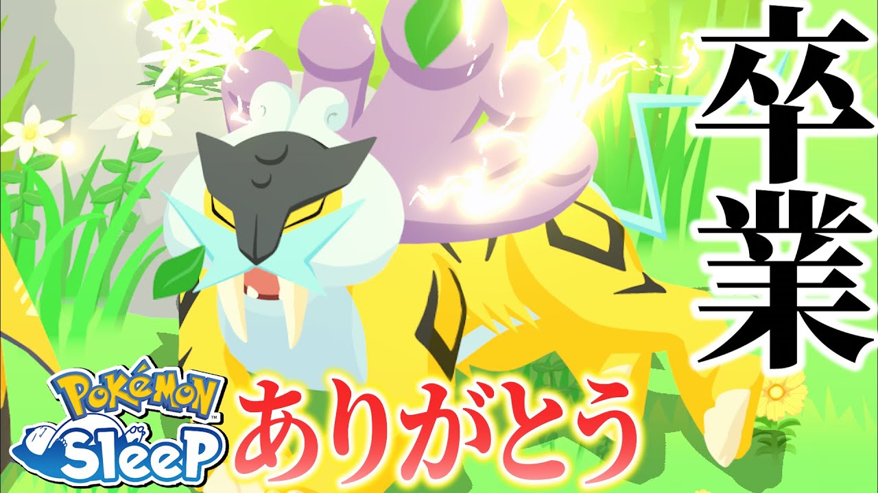 【天井】ライコウ☆3＆3匹目ライコウGET！もうワカクサ卒業します！【ポケモンスリープ】