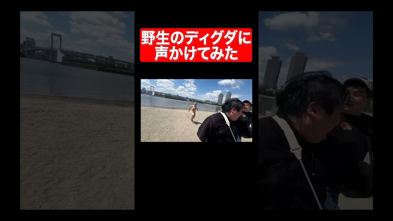 野生のディグダに声かけてみた