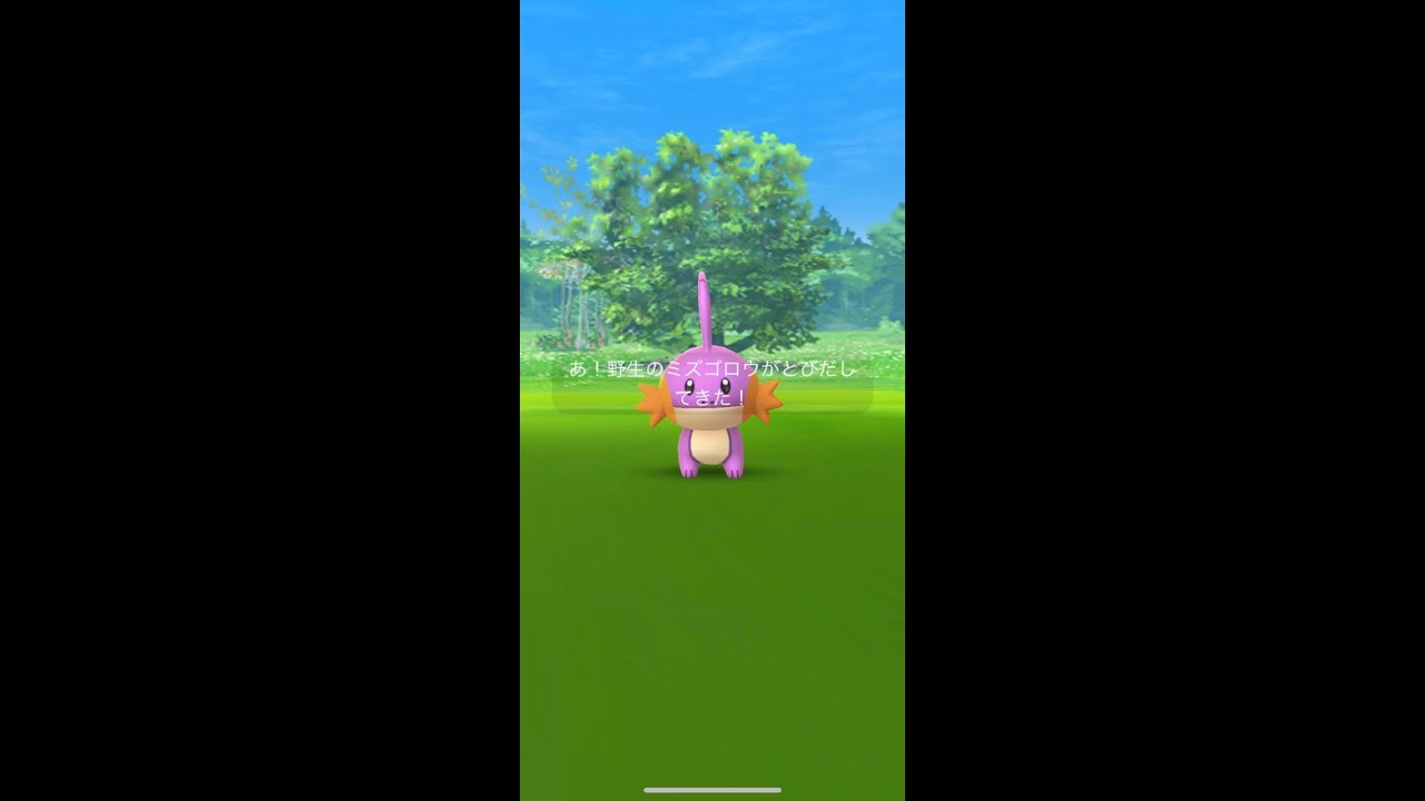 【ポケモンGO】色違いミズゴロウ！コミュニティデイ　#shorts