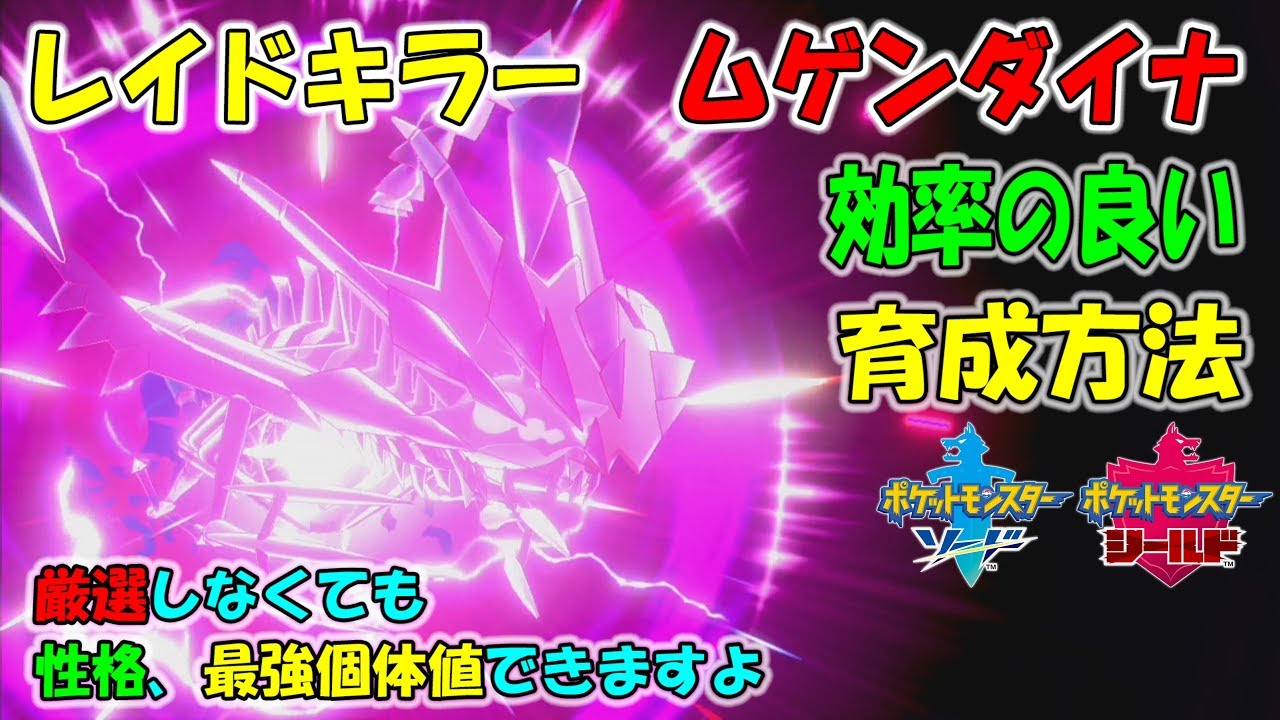 【ポケモン剣盾】 ムゲンダイナ 効率の良い育成方法　厳選しなくても性格、個体値できます　＃１９【ポケモン剣盾　ポケモンソードシールド】