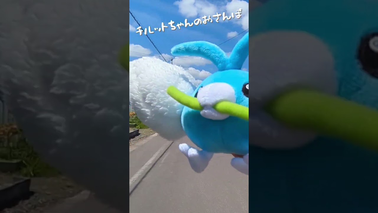 チルットちゃんのおさんぽ #ポケモン #ダブルバトル #ポケモンsv #さんぽ