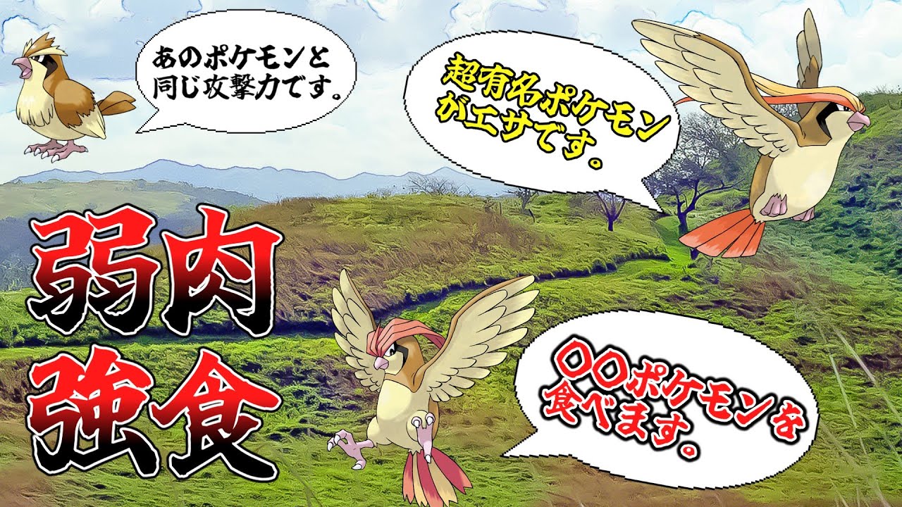 エサは○○！？　ピジョットの生態がヤバすぎる【ゆっくり解説】【ポケモン解説】