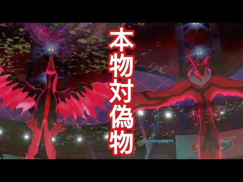 ガラルファイヤー対イベルタルの本物偽物対決【ポケモン剣盾】