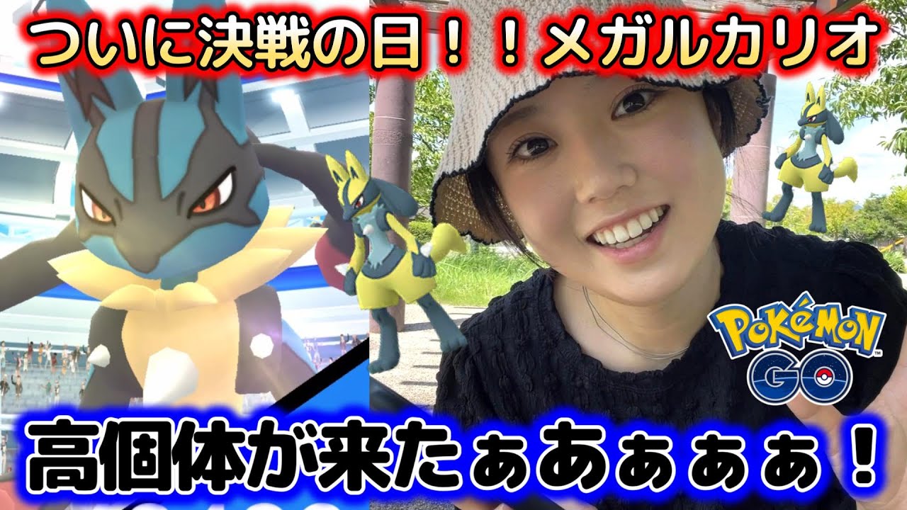 【酷暑🌞】真夏のメガルカリオ連戦🥹💦色違いと高個体をGET✨🩷ポケモンGO Pokémon GO  Japan  일본인 포켓몬고