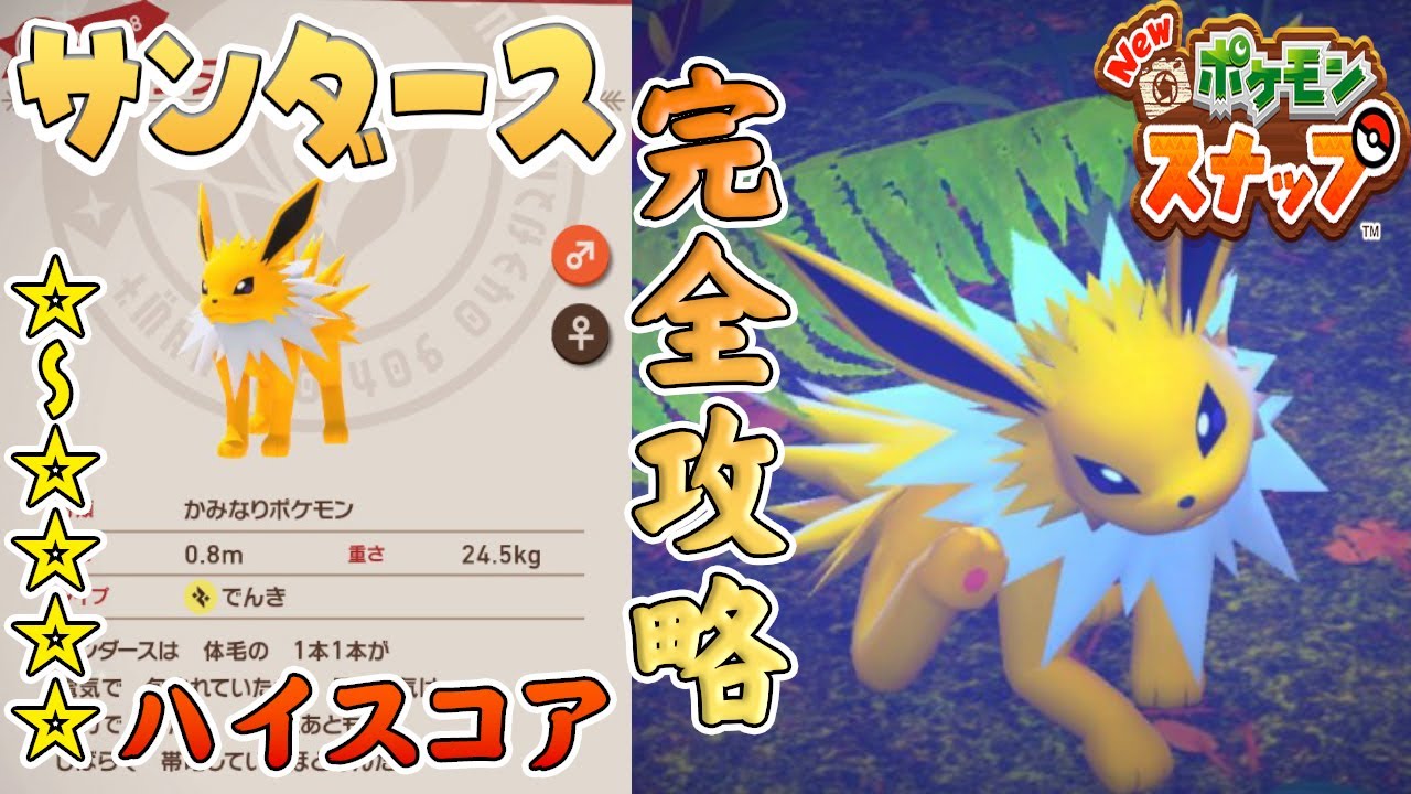 サンダースの登場場所、星1～星4の高得点撮影方法を解説します【Newポケモンスナップ】