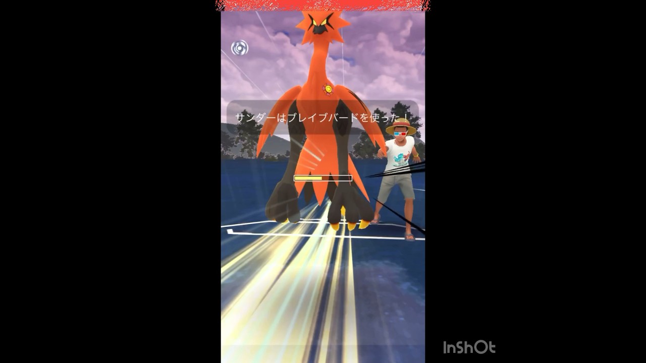 ガラルサンダーとの遭遇🫢