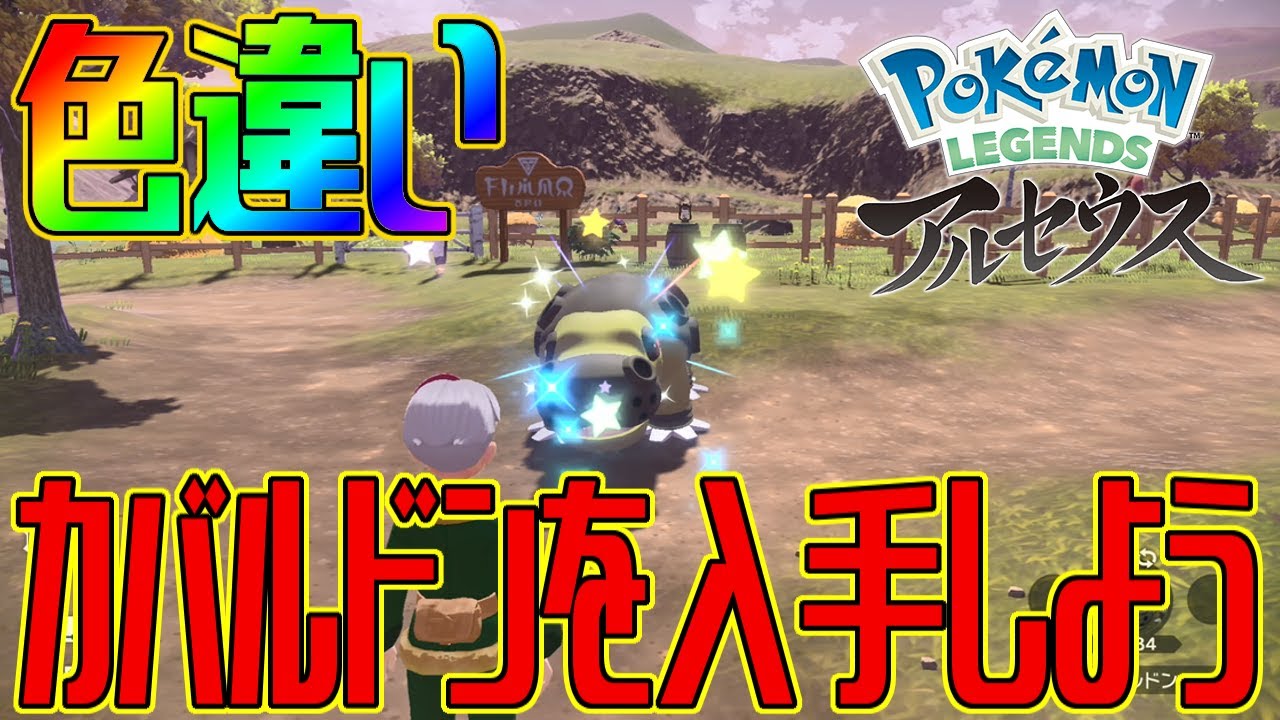 【ポケモンアルセウス】色違いカバルドンを入手しよう 進化入手【Pokémon LEGENDS アルセウス】