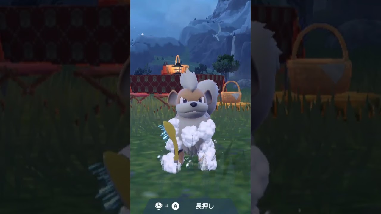 ガーディ【ポケモンsv】