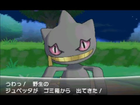 【木曜限定】ポケモン村のゴミ箱の主　ジュペッタ　ポケモンX・Y