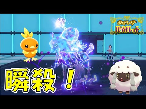 黒バドレックスとのコンビで瞬殺を量産するアチャモ【ポケモンSV/ゆっくり実況】