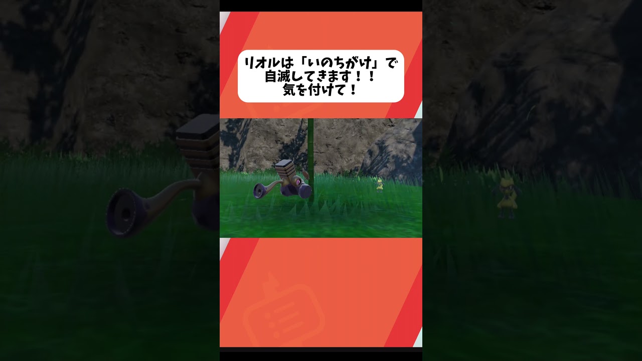 【ポケモンSV】色違いのリオルが自滅しました...#ポケモン #ポケモンsv #ポケットモンスタースカーレットバイオレット #リオル #色違い #色違いポケモン #pokemon