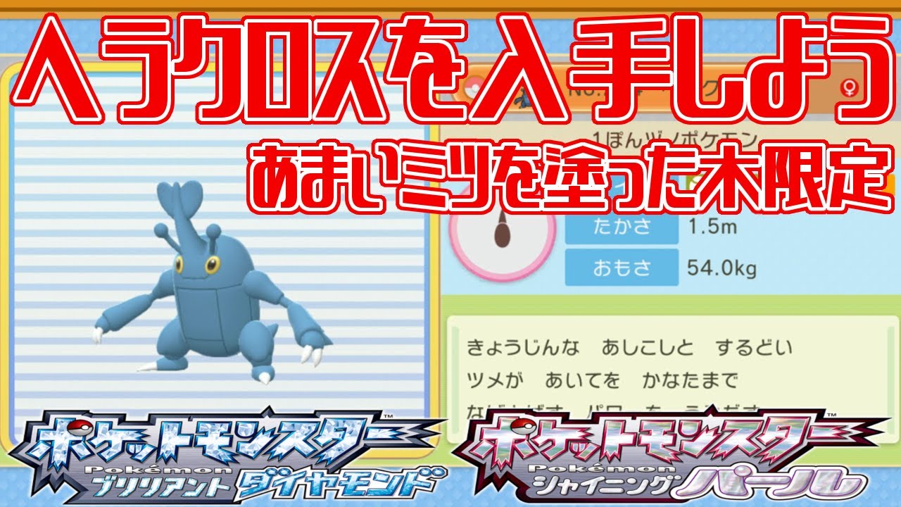 【ポケモンダイパリメイク】ヘラクロスを入手しよう あまいミツを塗った木限定【ポケットモンスター ブリリアントダイヤモンド・シャイニングパール】Pocket Monsters